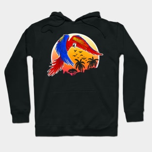 ara scarlet macaw sunset jungle Hoodie